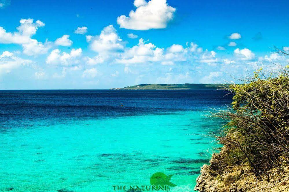 Bandabou Breeze Curacao Aparthotel Willibrordus Exteriör bild